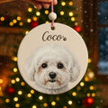 Pet Photo 2025 Personalized Christmas Ornament