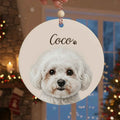 Pet Photo 2025 Personalized Christmas Ornament